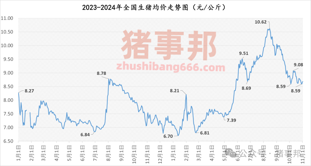 11月1日猪价汇总（主线涨，但情绪又转弱了！）